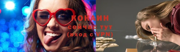мдпв Володарск