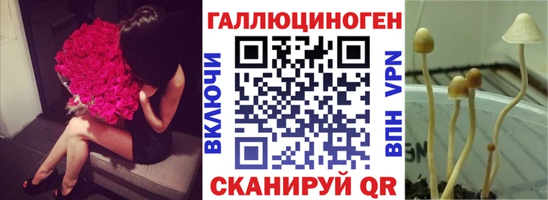 Псилоцибиновые грибы мицелий  OMG зеркало  Неман 